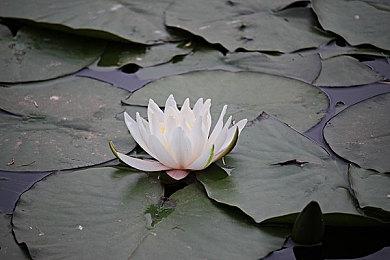 《幽灵行动：断点》现已上架Steam 1月24日发售